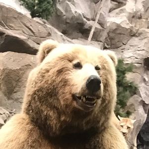 Meet your Posher, Tyrone